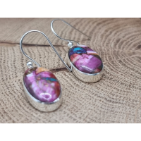 Echt zilveren oorbel hangers pink oyster turquoise.