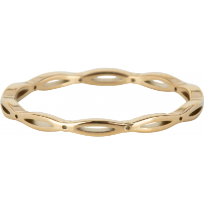 CHARMIN'S R1112 RING OPEN OVAL STAAL goud
