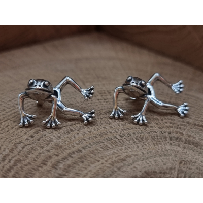 Grappige echt zilveren oorstekers van een kikker
