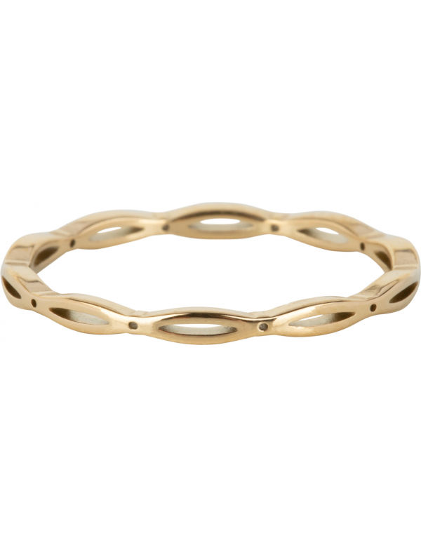 CHARMIN'S R1112 RING OPEN OVAL STAAL goud