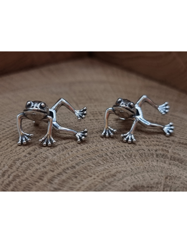 Grappige echt zilveren oorstekers van een kikker